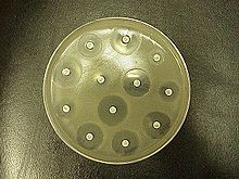 What is the preferred agar for a Kirby Bauer test and why?

Plate diameter and depth?