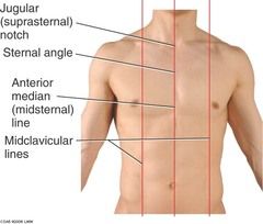 The suprasternal notch is by the collarbone. U shaped depression just above the stern+++++. The sternal angle is the same as the angle of ______