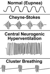 Patterns of respiration  Normal Adult 10 to 20 breaths per minute. Ratio of pulse to resp 4 to