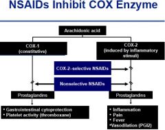 COX enzyme!