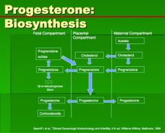 FALSE is B. Between approximately the 8-12 weeks of gestation, the cytotrophoblast- SHOULD BE SYNCITIOTROPHOBLASTS -  cells of the placenta develop the capacity to convert cholesterol to progesterone