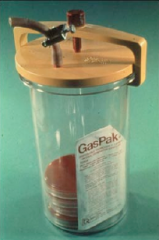 A gas pak is used to create anaerobic conditions in the jar.

By comparing bacterial growth on plates grown in the jar and outside the jar in aerobic conditions, you can determine aerobic, anaerobic and microaerophilic bacteria.