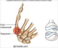 formed by the articulation of the trapezium & the 1st metacarpal (saddle-shaped)