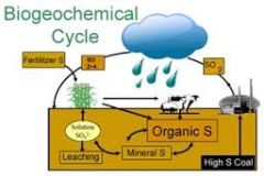 biogeochemical cycle -a pathway by which a chemical substance moves through both biotic (biosphere) and abiotic (lithosphere, atmosphere, and hydrosphere) compartments of Earth.