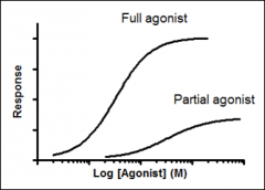 It is not possible to reach meaningful conclusions on agonist affinity from such curves since:


- the agonist response depends on efficacy and affinity


-there are often many steps between drug binding and the response