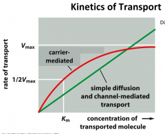 Simple Diffusion and Channel-Mediated Transport: diffusion doesn't peak as there is NO saturation; linear trend
Carrier-Mediated Transport: transport beaks when binding sites on carrier are saturated; curved trend