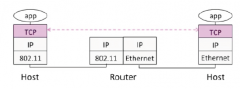 Transport layer provides end-to-end connectivity across the network