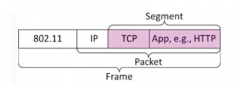 Segements carry application data across the network
Carried within packets within frames
