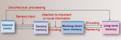 Sensoryinput from the environment is recorded as fleeting sensory memory.


Informationis processed in short-term memory. 


Informationis encoded into long-term memory for later retrieval