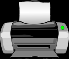 An output device that can produce a paper copy of what is on the computer screen