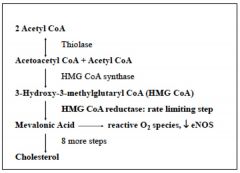 in all tissues
basically putting together a series of acetate molecules. 

2 acetyl-COA + acetyl CoA--> HMG CoA 
--> mevalonic acid  by HMG CoA reductase RLS
>>>>8steps>>>CHOLESTEROL