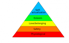 U8A Motivation 


 Maslow's pyramid of human needs, beginning at the base w physiological needs that must first be satisfied before higher-level safety needs then psychological needs become active