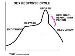 U8A Motivation 


 the four stages of sexual responding described by Masters and Johnson—excitement, plateau, orgasm and resolution