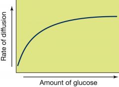 Describe the graph in terms of rate of diffusion and the amount of glucose