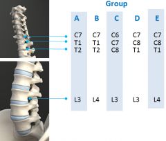 Fig A labels the neuroforamen of four vertebral motion segments. Groups A-E lists combinations of the nerve roots which exit the corresponding neuroforamen, which group is anatomically correct? 1-Group A; 2-Group B; 3-Group C; 4-Group D; 5-Group E