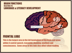 Frontal lobe: Largest area in the left hemisphere of thebrain; controls speech, reasoning, planning. Some areas in this area alsoaffect silent reading.