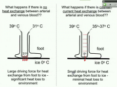 1st option (L) - heat loss in the body!
2nd - less heat loss! small driving force (counter-current)