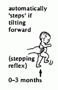 2 months
Support upright with soles of feet on firm surface
Reciprocal flexion/extension of legs
Interferes with development of smooth, coordinated reciprocal gait
