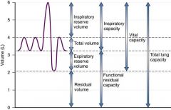 Total lung capacity = RV + VC
or TLC = FRC + IC