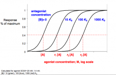>Reversible competitive antagonists shift agonist dose response curves to the right.