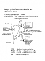 >Decrease sympathetic outflow
 - mediated via α2 adrenoceptors in the ventrolateral medulla, in the nucleus of the solitary tract