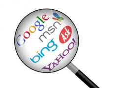 The program that searches the internet for you. EX: Yahoo, Google, Bing