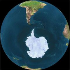 name this continent located at the bottom of the globe