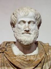 Pankaj Jha - Aristotle