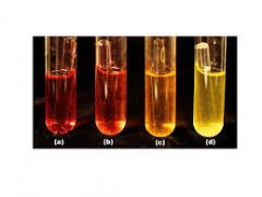 Differential for carbohydrate fermentation using pH indicator (phenol red)
Can be designed to test any one specific sugar. Used to identify bacteria in general, especially useful in distinguishing gram neg. enteric bacilli but may be used for othe...