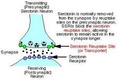 SSRIs prevent Serotonin from chemically 
diffusing across the synapse by binding to the re uptake site and therefore increasing the amount of serotonin