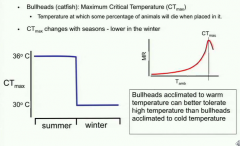 Ctmax - the temperature at which a percentage of animals will die