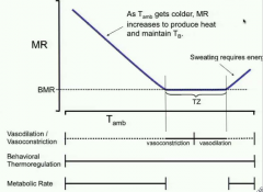 Thermoregulation in Endotherms
