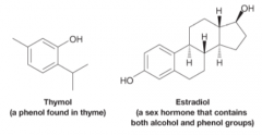 Hydroxyl group is bonded to a benzene ring
Differ from alcohol in terms of relative acidity
Distinct functional group