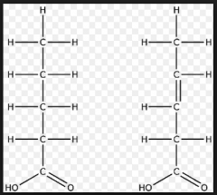 *Mætted fedtsyre - INGEN dobbelt bindinger mellem to af C atomer

*Mono-umættet fedtsyre -  1 dobbelt binding

*Flere-umættet fedtsyre (poly-umættet fedtsyre) - flere dobbelt dobbeltbindinger