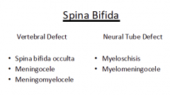 Spina bifida = gap in the vertebral arch
of a vertebra.

- spinal cord and vertebrae may get involved secondary to the defect in vertebral and neural tube formation, respectively. 