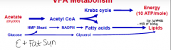 Acetate -> Acetyl CoA...
1. Krebs cycle -> energy (10ATP/mole) 
2. FA -> Lipids 
 
**energy and fat synthesis**