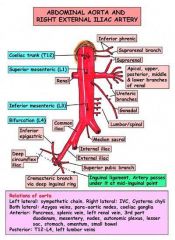 Superior mesenteric artery syndrome