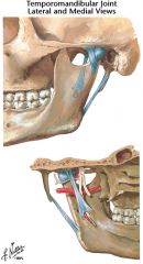temporomandibular ligament