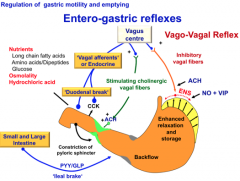 Describe the entero-gastric reflexes