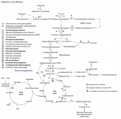 Glycolysis: Pyruvate dehydrogenase
TCA: alpha-KG DH
HMP shunt: Transketolase