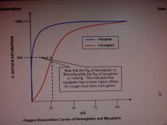 A

Sigmoidal shape of hemoglobin oxygen-dissociation curve results from the tetrameric nature of hemoglobin and how after binding to one molecule,t he affinity of other heme molecules for oxygen increases (heme-heme interaction)

On the other hand, my