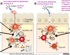 - Inflamed immune response - presence of IL-6
- Tolerance response - presence of Retinoic Acid