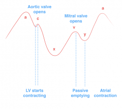 a: atrial systole
c: from closure of tricuspid to opening of aortic
x: ventricular systole
v: opening of mitral valve
y: end of passive emptying