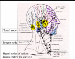 1. preauricular
2. retroauricular/mastoid
3. occipital

They drain the area directly above them