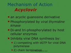Acyclovir is converted into acyclovir triphosphate using thymidine kinase which ONLY THE VIRUS HAS. Won't occur in uninfected cells.


Acyclovir triphosphate incorporation into herpesvirus growing DNA strand will terminate DNA replication and kill...