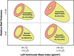 volume overload conditions that cause ventricular dilation and eccentric hypertrophy