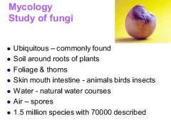 soil - roots of plants
foliage and thorns
GIT in animals and insects
water, air