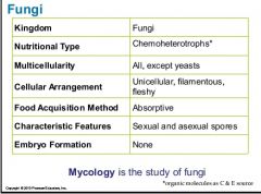 sexual and asexual spores