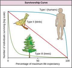 A graph that represents the distinct patterns of species survival as a function of age


