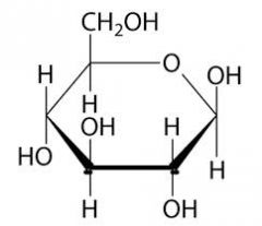 - 6 Carbon (C6H12O6) ring structure
- a and B are geometrical sterioisomers
(beta is better, so it comes out on top)